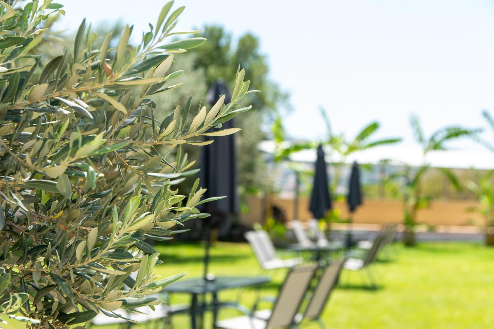 Airscape Hotel Free Shuttle From Athen'S Airport Artemida  Exterior photo
